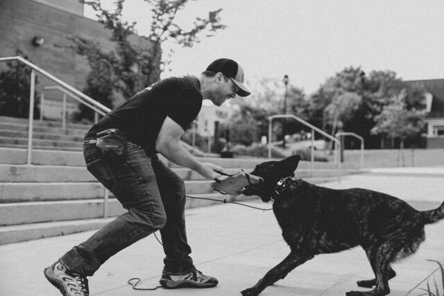 Black-and-white photograph of a trainer playing tug with a dog