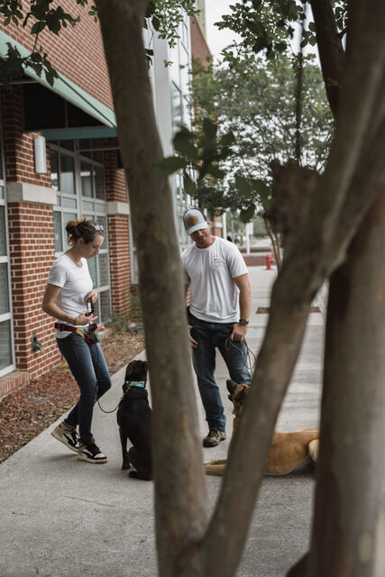 Two trainers and dogs on a sidewalk viewed through trees