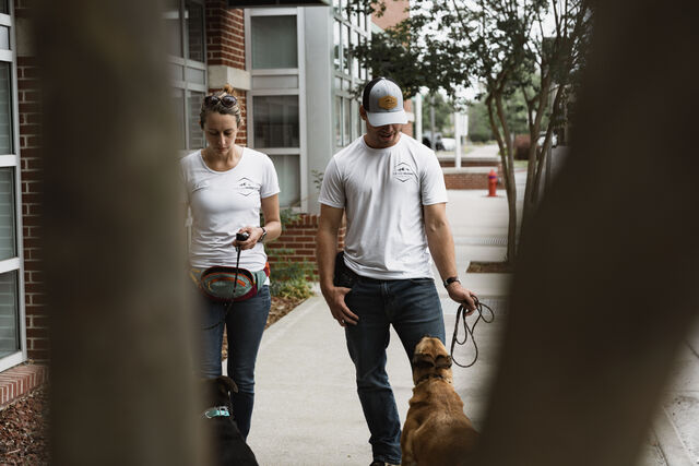 Two trainers attending to dogs along a tree-lined sidewalk