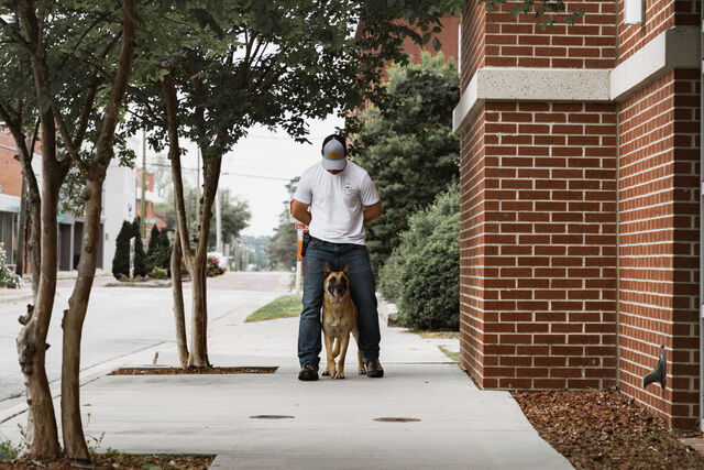 Tan dog standing between a trainer's legs on a sidewalk