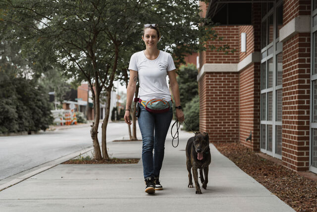 Trainer walking a brindle dog along a sidewalk