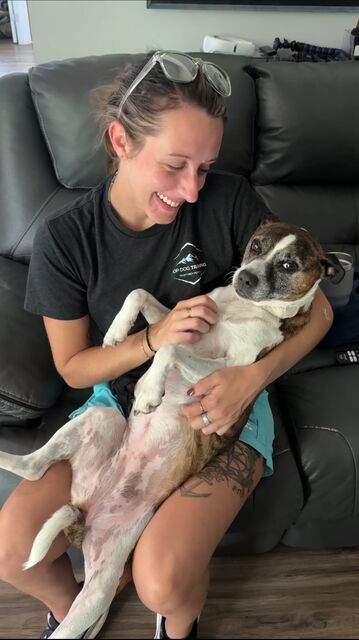 Smiling woman holding a brindle-and-white dog on her lap on a couch
